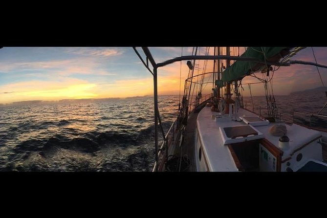 Whitsundays Sunset Sailing Cruise - Sparkling wine, snacks, and the onboard setup