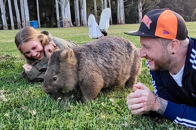 WILD Wombat and Kangaroo Day Tour, All Inclusive - Why the wombat walk is worth the long ride