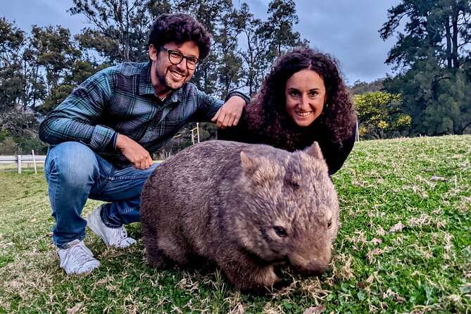 WILD Wombat and Kangaroo Day Tour, All Inclusive - Fitzroy Falls and the value of two waterfalls