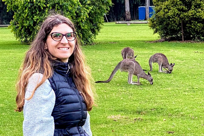 WILD Wombat and Kangaroo Day Tour, All Inclusive - The Southern Highlands wildlife walk