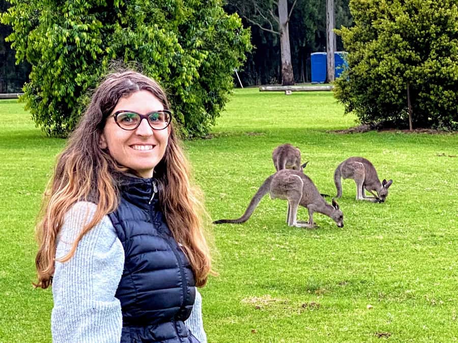 WILD Wombats and Kangaroo Experience, All Inclusive, Sydney - Quick points before you book