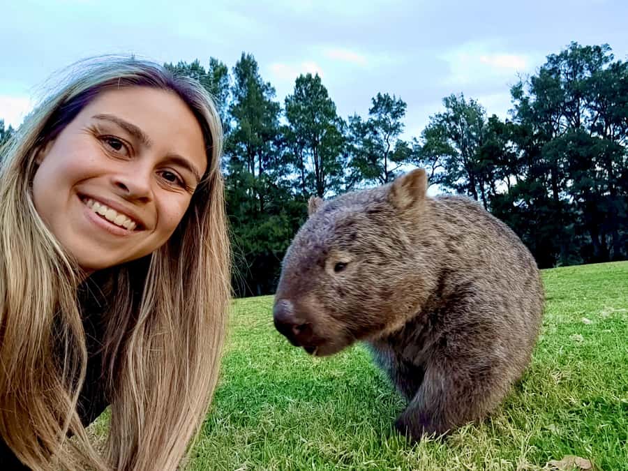 WILD Wombats and Kangaroo Experience, All Inclusive, Sydney - Southern Hemisphere stargazing on the way home