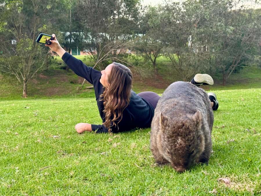 WILD Wombats and Kangaroo Experience, All Inclusive, Sydney - Why this is more than a zoo visit