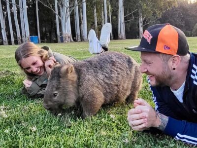 WILD Wombats and Kangaroo Experience, All Inclusive, Sydney