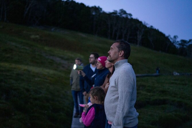 Wildlife Night Spotting at Cradle Mountain - Why Cradle Mountain comes alive after dark