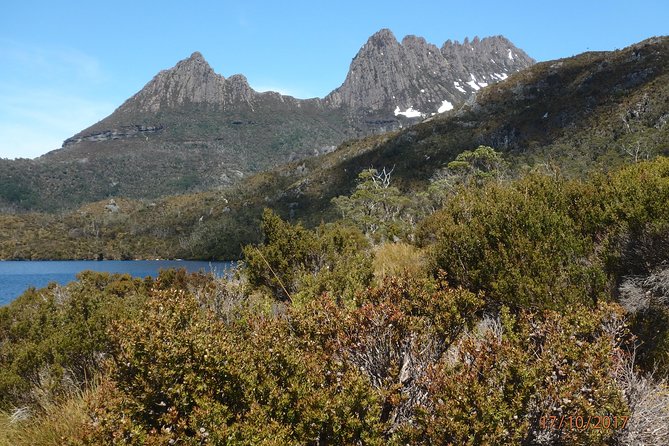 Wildlife Night Spotting at Cradle Mountain - What you may see, and what you should expect