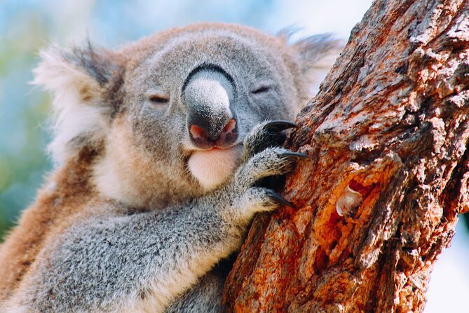 Wildlife, Waterfalls and Wine Day Tour from Sydney - Leaving Sydney through Botany Bay and Royal National Park