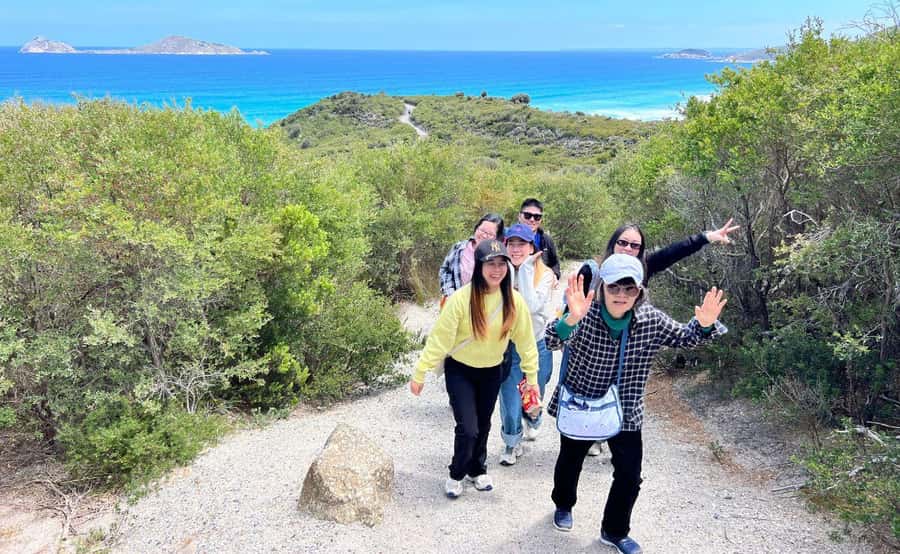 Wilson's Promontory National Park Day Tour From Melbourne - Wildlife at the historic airfield
