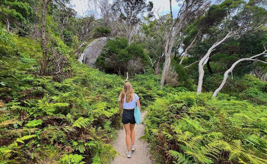 Wilson's Promontory National Park Day Tour From Melbourne - Guides, audio support, and the pace of the day
