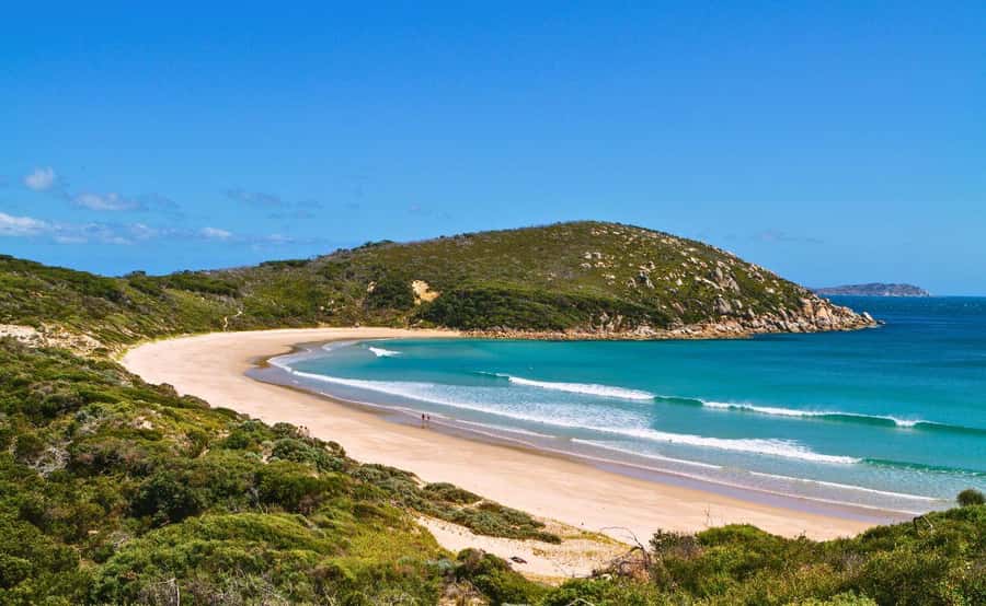 Wilson's Promontory National Park Day Tour From Melbourne - Practical preparation for a 13-hour outing