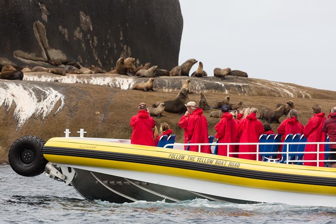 Wilsons Promontory Wilderness Cruise from Tidal River - Fur seals, dolphins and the chance of whales