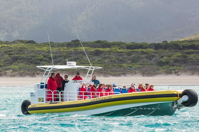 Wilsons Promontory Wilderness Cruise from Tidal River - Guides, group size and the human side
