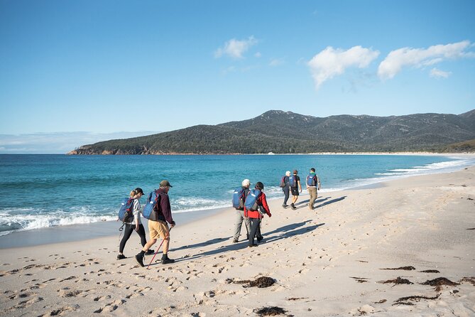 Wineglass Bay Cruise from Coles Bay - Comfort on a four-and-a-half-hour boat ride
