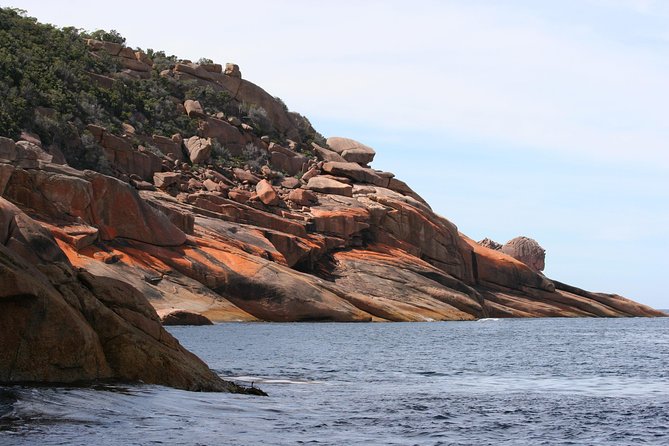 Wineglass Bay Cruise from Coles Bay - Who should book this cruise?