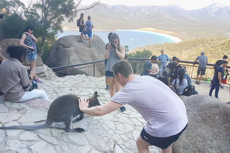 Wineglass Bay & Freycinet National Park Day Trip from Hobart - Four walking options, not one fixed hike