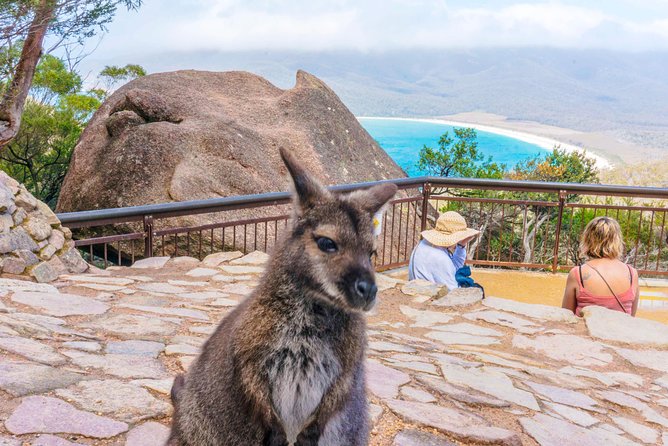 Wineglass Bay & Freycinet NP Full Day Tour from Hobart via Richmond Village - Why this tour works for seeing east coast Tasmania in one day