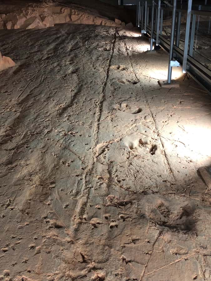 Winton: Dinosaur Stampede 3/4 Day Tour - Merton Gorge and the working cattle station