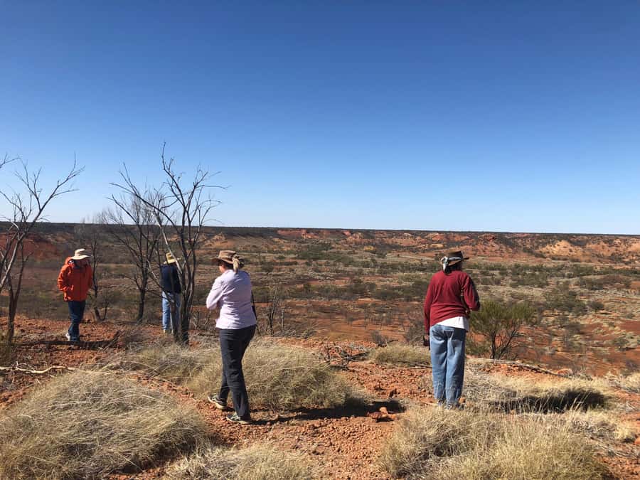 Winton: Dinosaur Stampede 3/4 Day Tour - The guided footprint visit at Lark Quarry