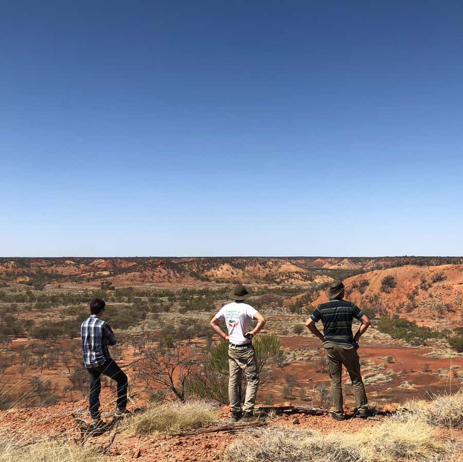 Winton: Dinosaur Stampede 3/4 Day Tour - Guides who make the long day worthwhile