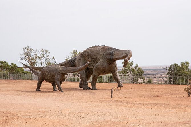Winton Discovery Day Tour - Key points to know before you book