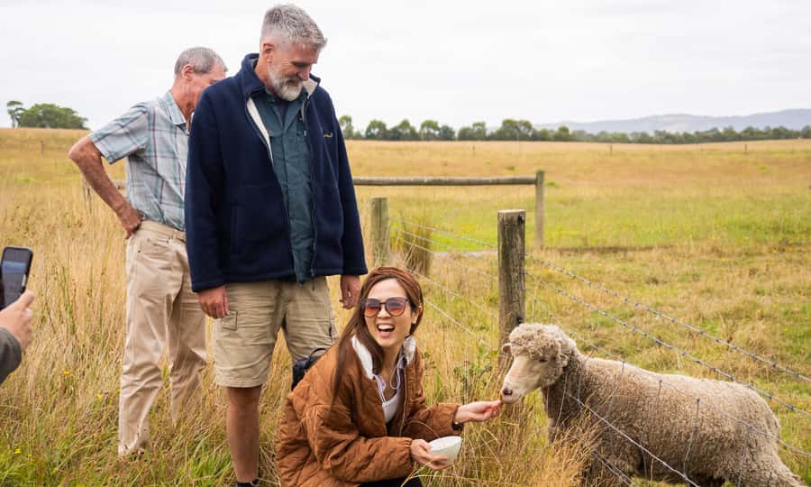 Yarra Valley Full Day Grazing Tour: Gin, Wine, Pizza, Cheese - Eight chocolates close the day