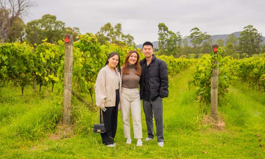 Yarra Valley Full Day Grazing Tour: Gin, Wine, Pizza, Cheese - What the $133 price really covers
