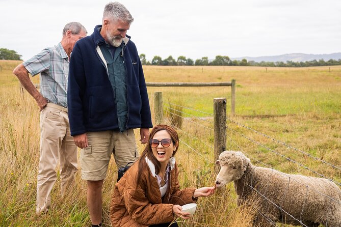 Yarra Valley Grazing Tour Wine, Cheese, Gin, Pizza from Melbourne - Guides shape the day