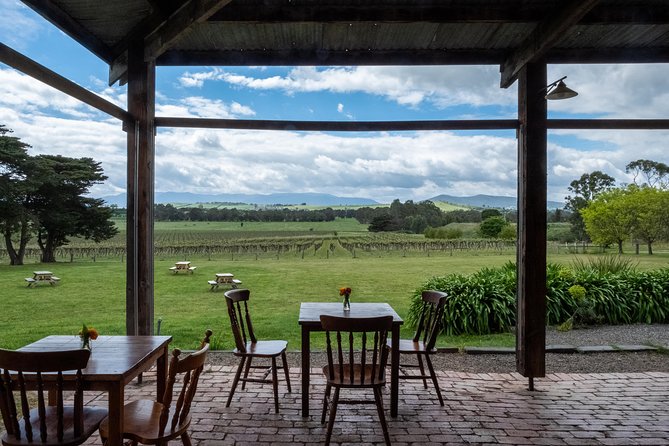 Yarra Valley Wine & Winery Tour from Melbourne - All Inclusive! - Yering Farm brings a rustic change of mood
