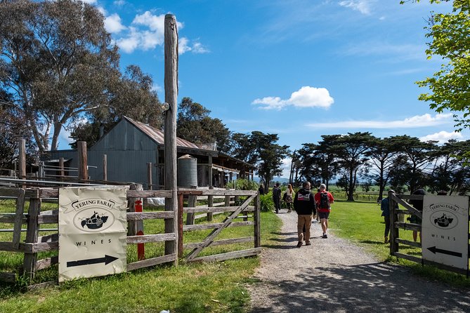 Yarra Valley Wine & Winery Tour from Melbourne - All Inclusive! - Greenstone Vineyards starts the tasting day