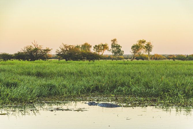 Yellow Water Cruise - Kakadu - Sunrise, daytime, or sunset?