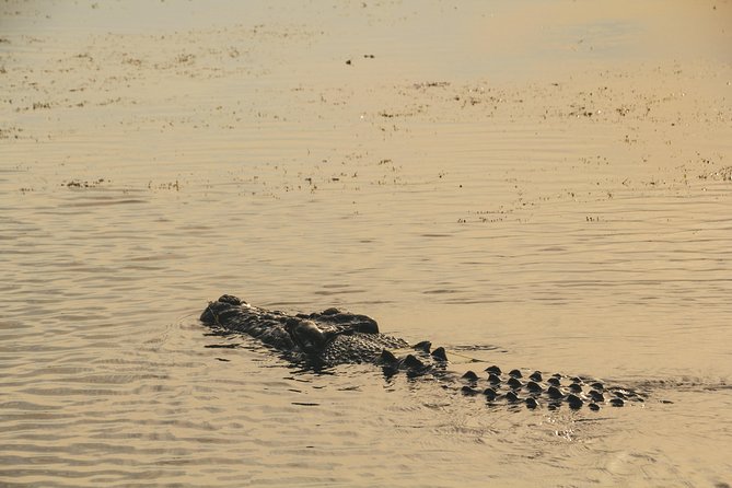 Yellow Water Cruise - Kakadu - How much value do you get for $75.31?