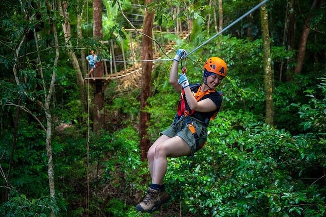 Ziplining Cape Tribulation with Treetops Adventures - What the Cape Tribulation canopy tour is really like