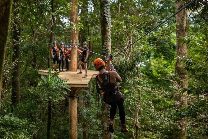Ziplining Cape Tribulation with Treetops Adventures - Guides, safety, and the small-group advantage