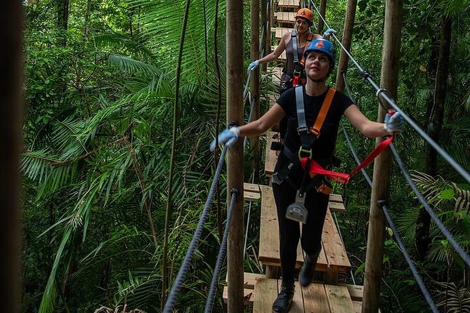 Ziplining Cape Tribulation with Treetops Adventures - Is $104 a fair price?